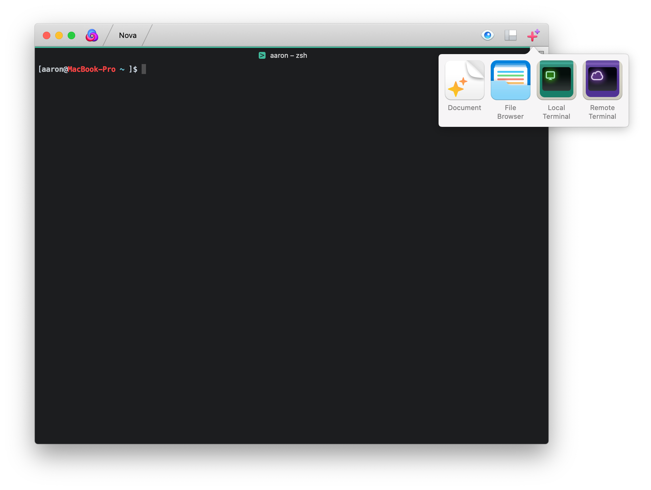 A local Terminal in Nova.