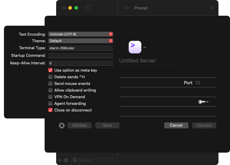 Advanced Server settings.