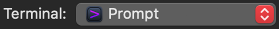 Windows open with options