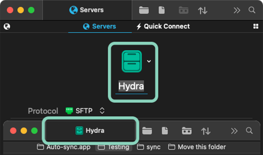 Server as the tab title